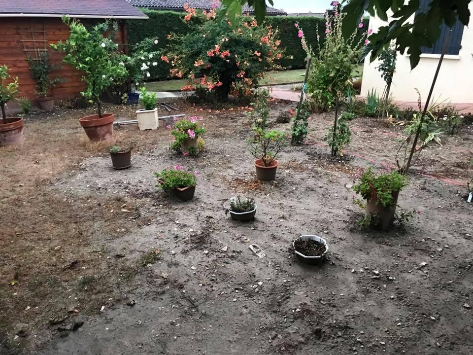 Entretien de jardin