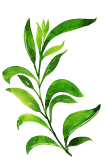 leaf-ext